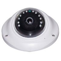 SAM-2828